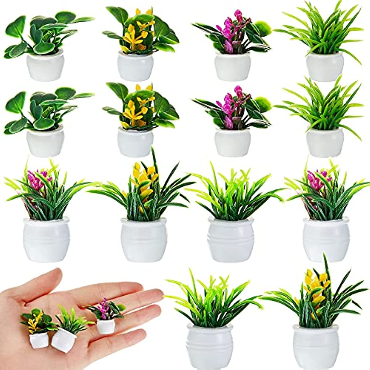 Bonsai Garden Ideas - Plante de maison de poupée, plante
