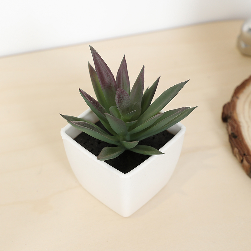 Bonsai Garden Ideas - Mini tasse de fée succulente artificielle,