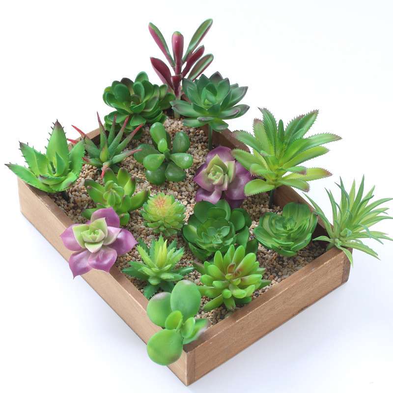 Jardin plantes artificielles 3 - Bonsai Garden Ideas avis et prix