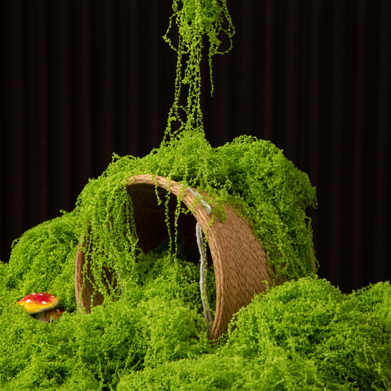 200g de mousse éternelle pour  - Bonsai Garden Ideas avis et prix