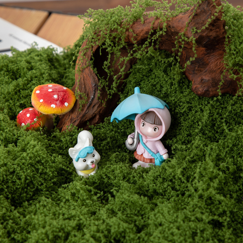 200g de mousse éternelle pour  - Bonsai Garden Ideas avis et prix