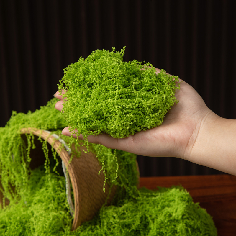 200g de mousse éternelle pour  - Bonsai Garden Ideas avis et prix