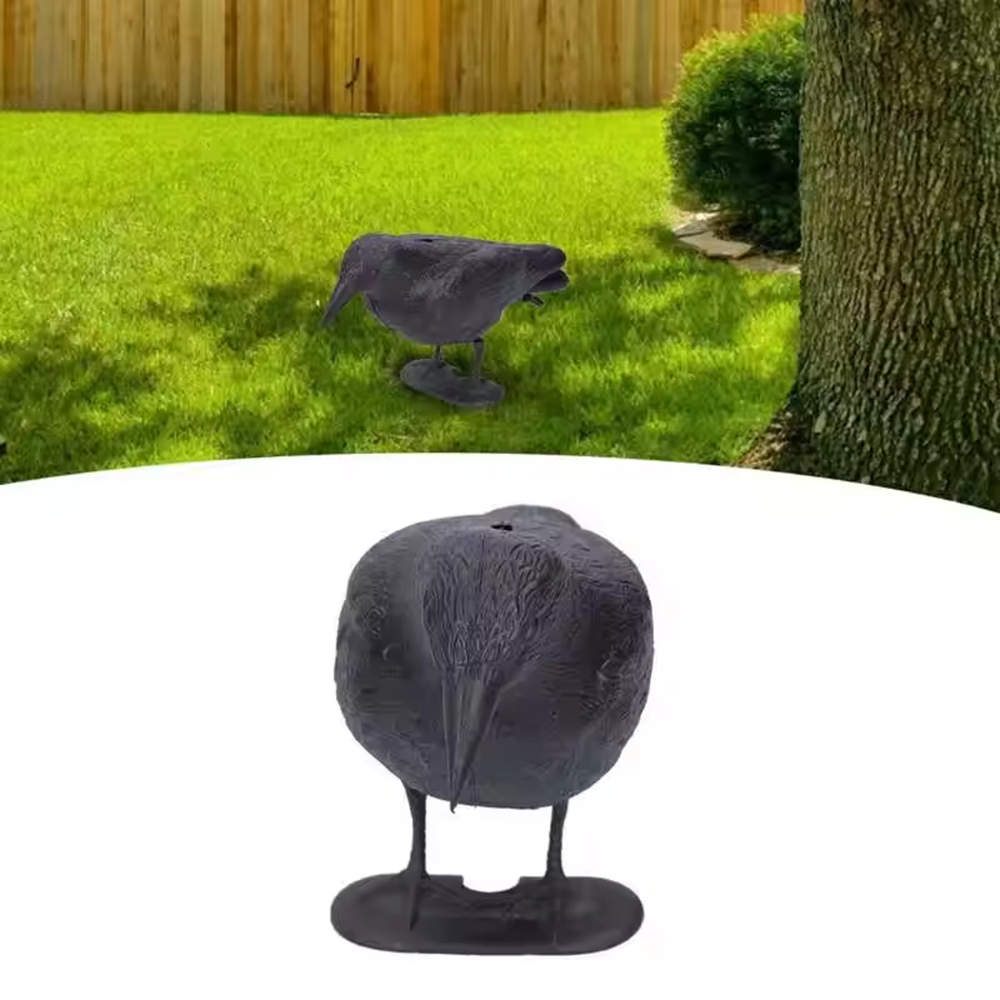 Simulation de décoration de co - Bonsai Garden Ideas avis et prix