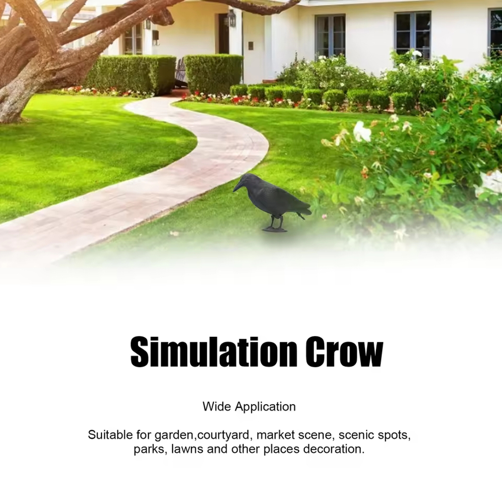 Simulation de décoration de co - Bonsai Garden Ideas avis et prix