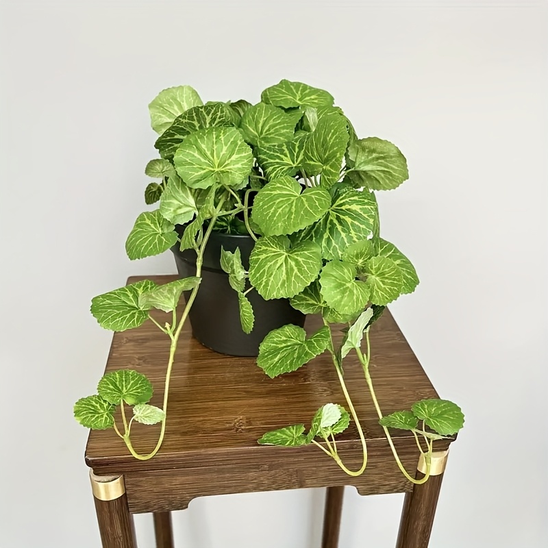 Une plante grimpante artificie - Bonsai Garden Ideas avis et prix