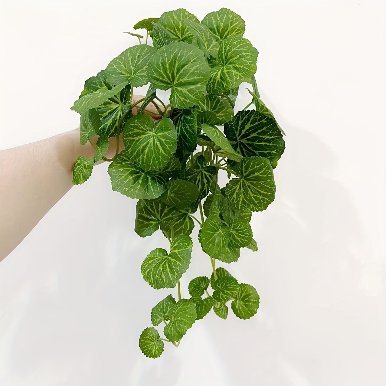 Une plante grimpante artificie - Bonsai Garden Ideas avis et prix