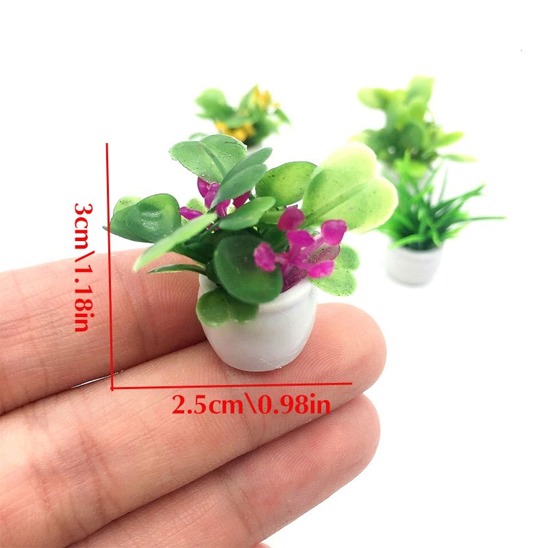 Plante de maison de poupée, pl - Bonsai Garden Ideas avis et prix