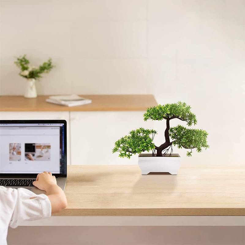 Bonsaï artificiel en plastique - Bonsai Garden Ideas avis et prix