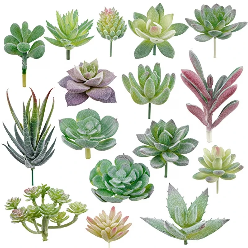 Plantes succulentes en PVC, fa - Bonsai Garden Ideas avis et prix